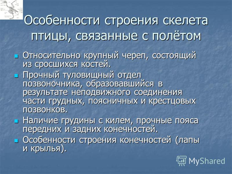 Строения прочно связанные с землей Строения прочно связанные с землей