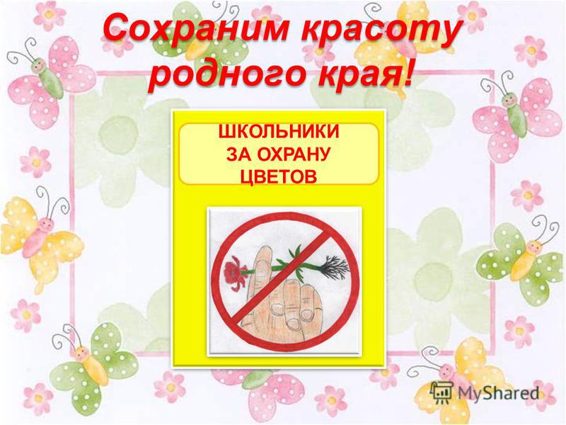 Картинки сохраним природу татарстана Картинки сохраним природу татарстана