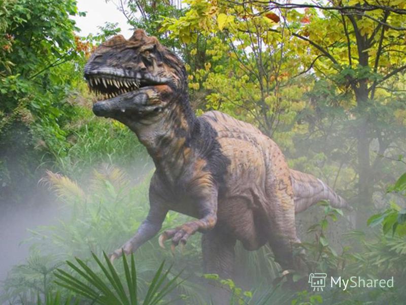 Почему исчезли динозавры? Около 65 миллионов лет назад динозавры полностью вымерли, оставив множество следов своего пребывания на планете. В то время на Земле еще не появились люди, и некому было оставить свидетельство, из которого мы могли бы узнать