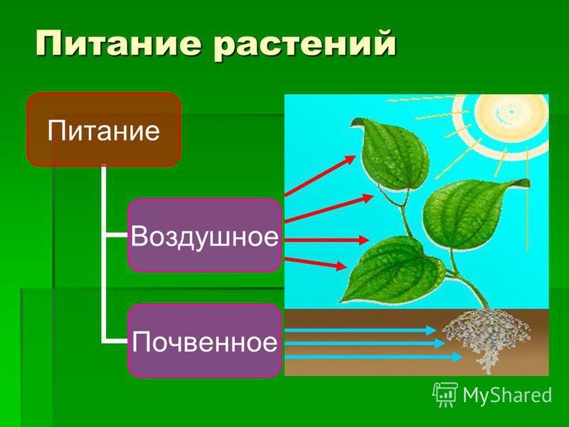 Питание растений Питание Воздушно е Почвенное