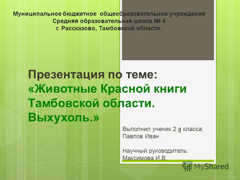 Красная книга тамбовской области доклад 3571