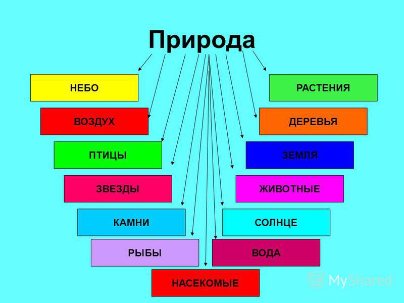 паразиты в тонком кишечнике человека паразиты в тонком кишечнике человека