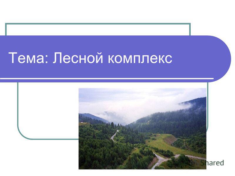 Romani in Contact: The History, Structure