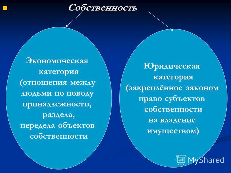 брюнетку собственность как экономическая категория упругую мужскую