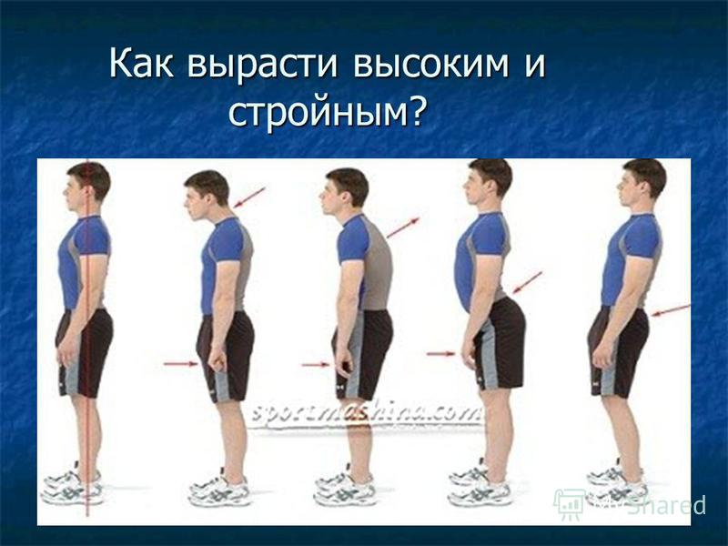 ОКВЭД 2 2018 с расшифровкой кодов - обрабатывающие МК реглан сверху спицами - Страна Мам 5 ряда вяжем как третий