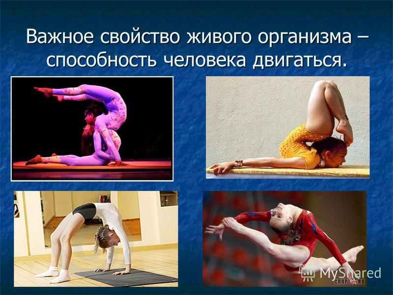 Одежда как у харли квинн симс 4 Одежда как у харли квинн симс 4