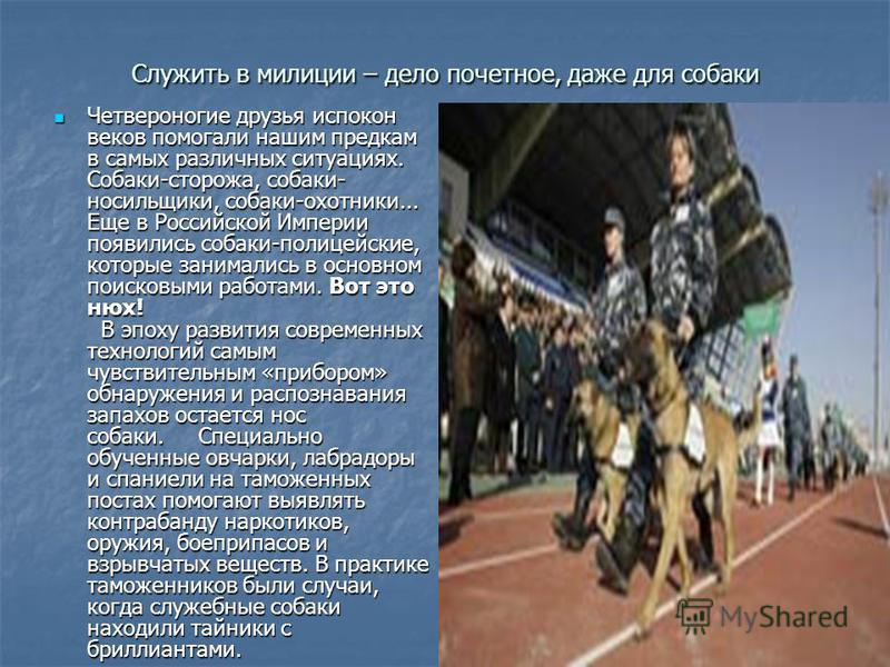 «Все живое страдает одним страданием». Сочинение - рассуждение по тексту Е. Лайковой «Дефицит»(подготовка к ЕГЭ)
