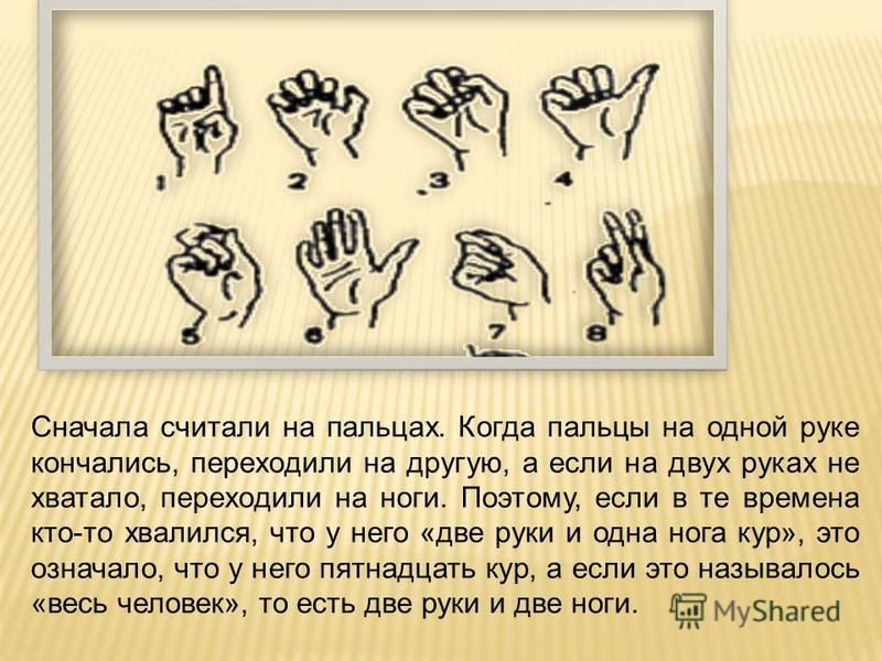 Реферат как люди научились считать 4047