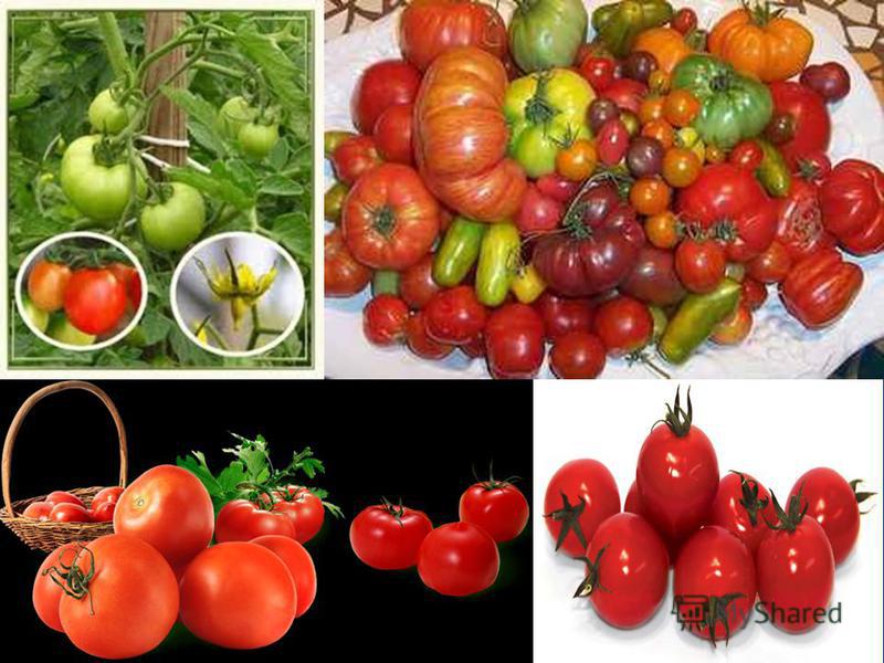 free organic farming how to raise certify and market organic free