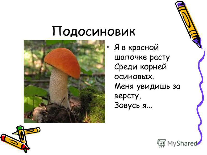 картинки для детей ягоды и грибы онлайн картинки для детей ягоды и грибы