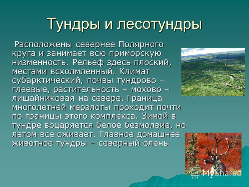 Презентация По Географии 8 Класс Природные Комплексы Русской Равнины