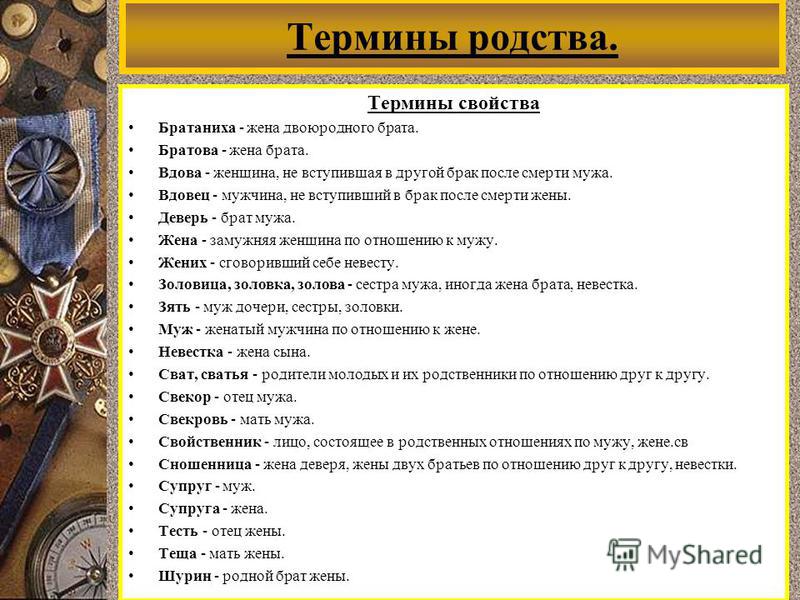 Гатчина Википедия Гамак для морской свинки своими руками