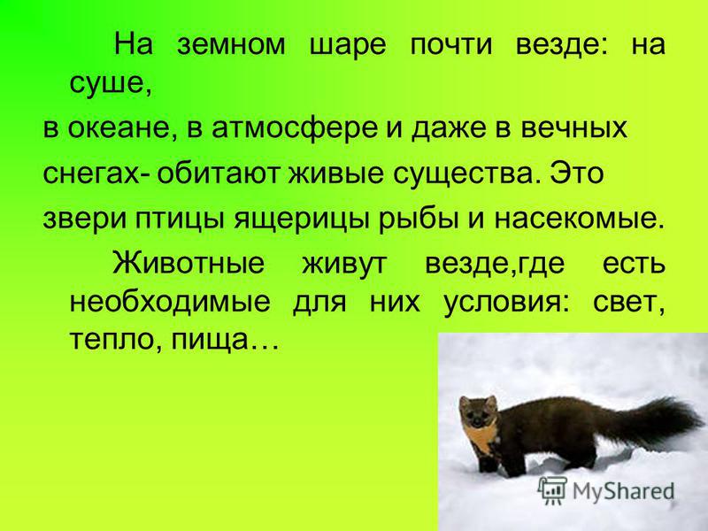 Картинки природа животные рыбы птицы Картинки природа животные рыбы птицы