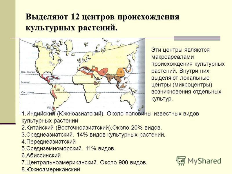 Как связано происхождение культурных растений Как связано происхождение культурных растений