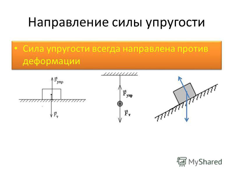 Физика 7 класс направление силы рисунок