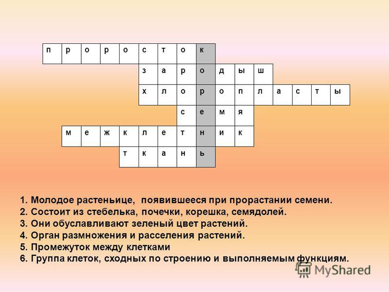 Урок-презентция зоны корня 6 класс по биологии