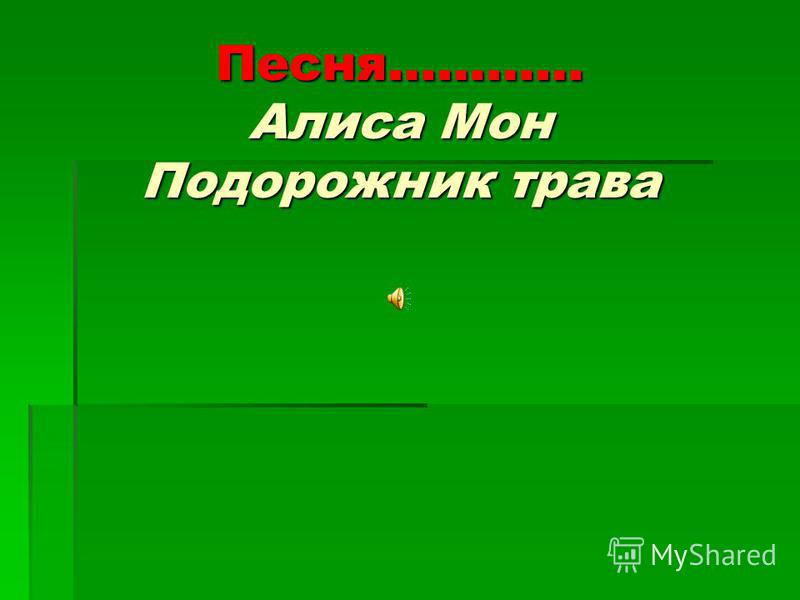 скачать подорожник-трава алиса мон