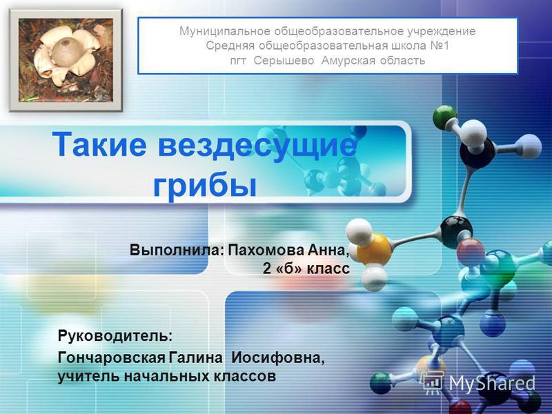 Мастер-класс пахомова Мастер-класс пахомова