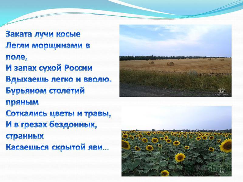 Стих такие милые родные Стих такие милые родные