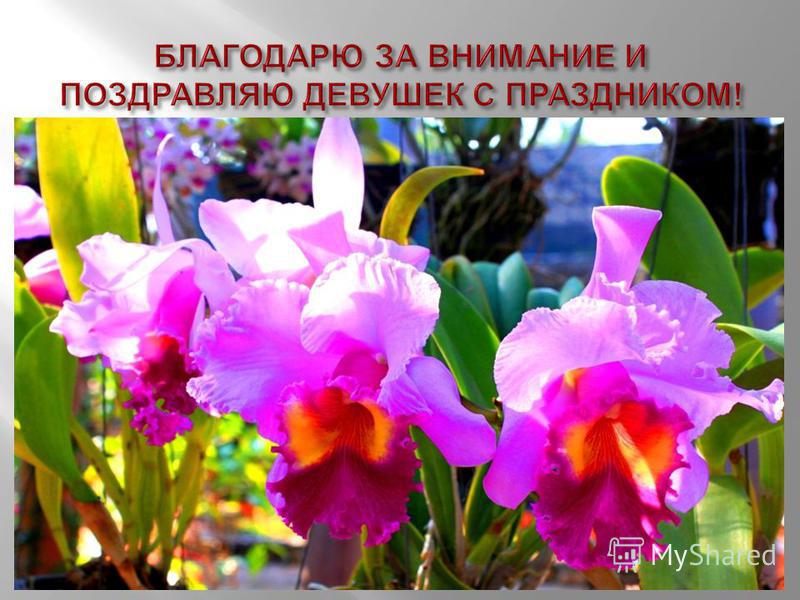 Митрофаненко Митрофаненко