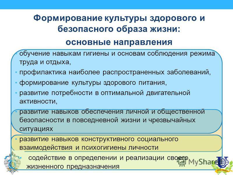 Проект формирование здорового образа жизни школьника