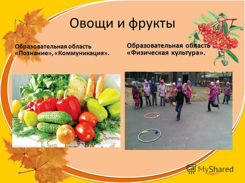 Сценарий овощи для средней группы Сценарий овощи для средней группы