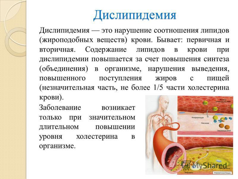 Дислипидемия что это такое как лечить какой Дислипидемия что это такое как лечить какой