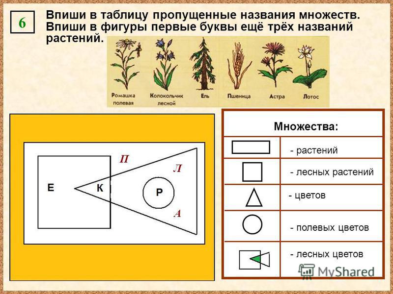 Добавьте в таблицу недостающие названия Впиши в фигуры названия растений из списка фото - PwCalc.ru