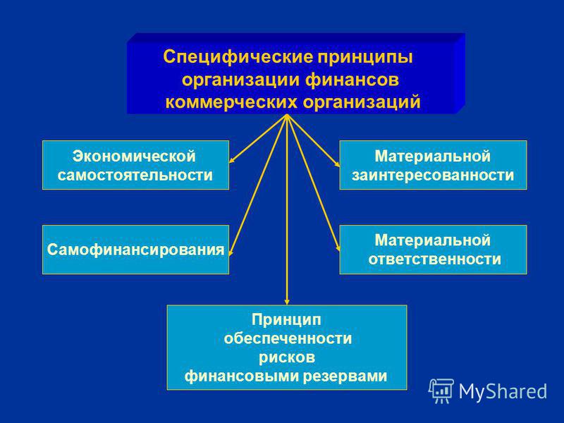 Экономически самостоятельные государственные органы Экономически самостоятельные государственные органы