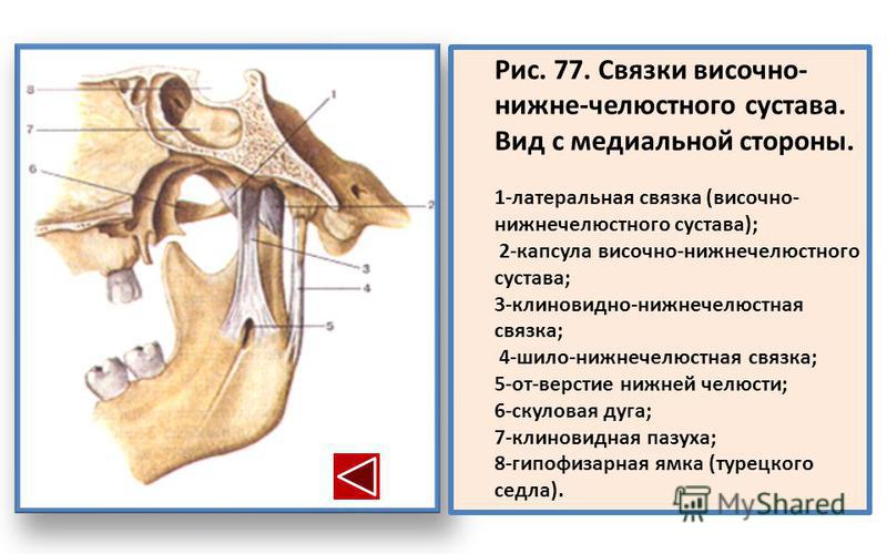 Как шьют связки Как шьют связки