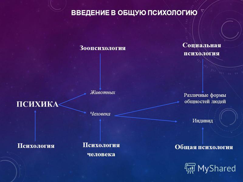 Введение в социальную психологию проект