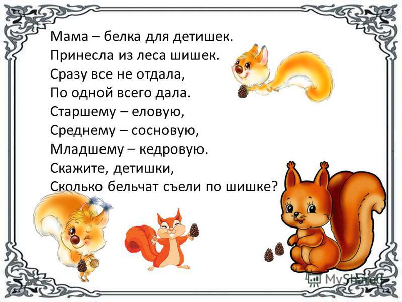 Стих для белочки Стих для белочки