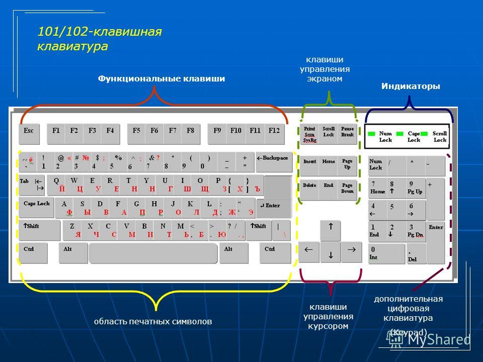 Схема раскладки клавиш клавиатуры Схема раскладки клавиш клавиатуры