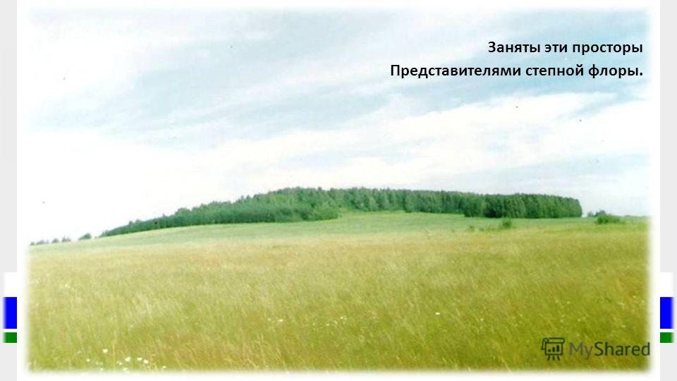 Самоцветы Любовь Вода скачать