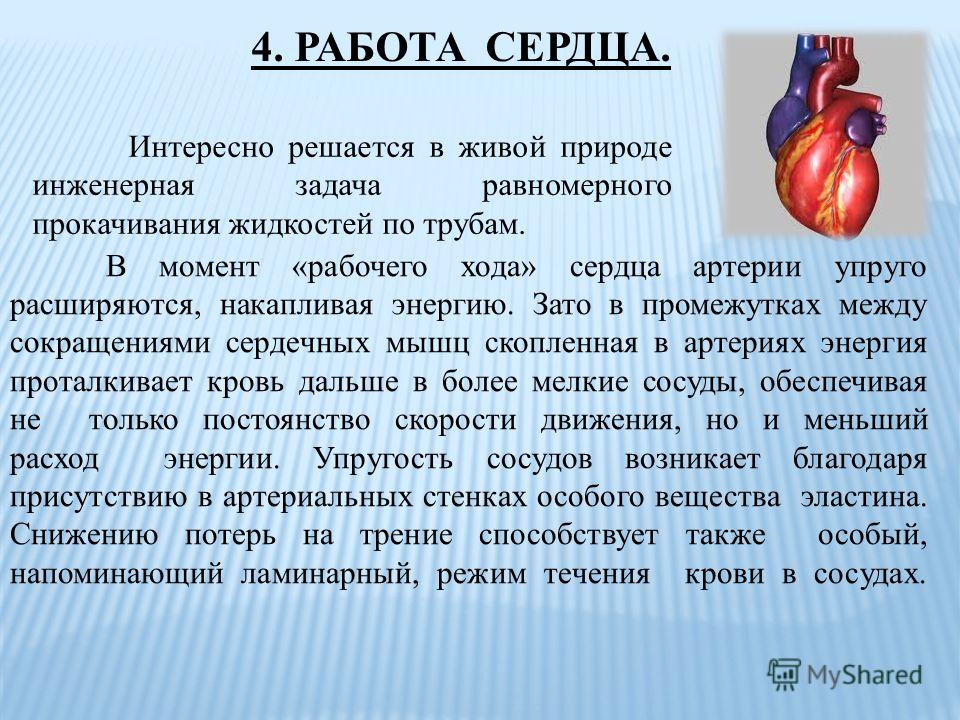Картинки сердца живая природа Картинки сердца живая природа