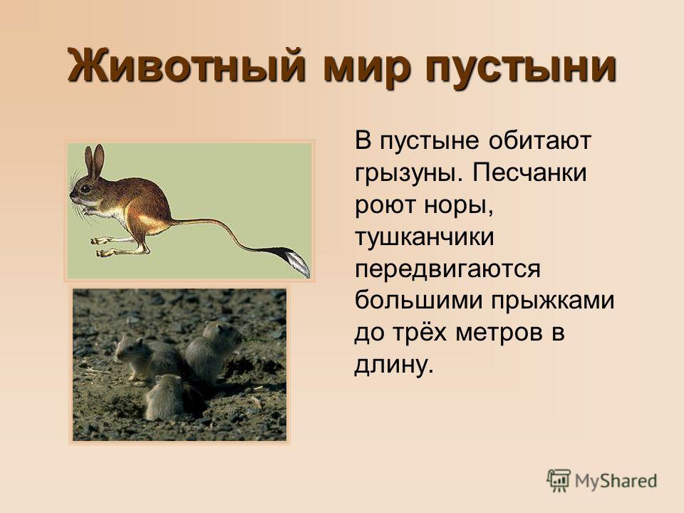 светлана стрельникова диетолог светлана стрельникова диетолог