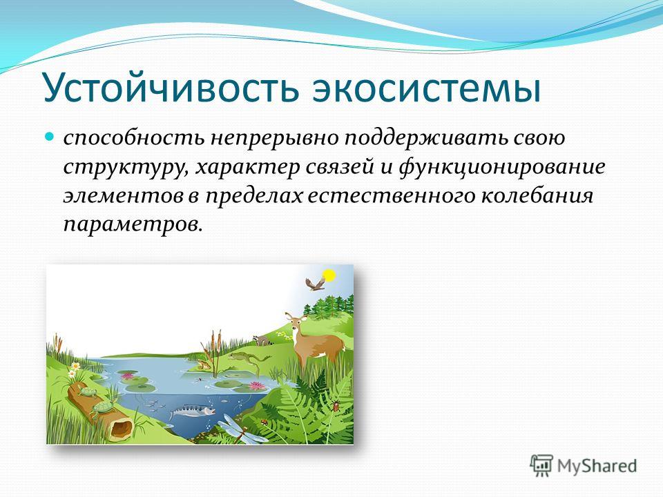 С чем связана устойчивость биосферы С чем связана устойчивость биосферы