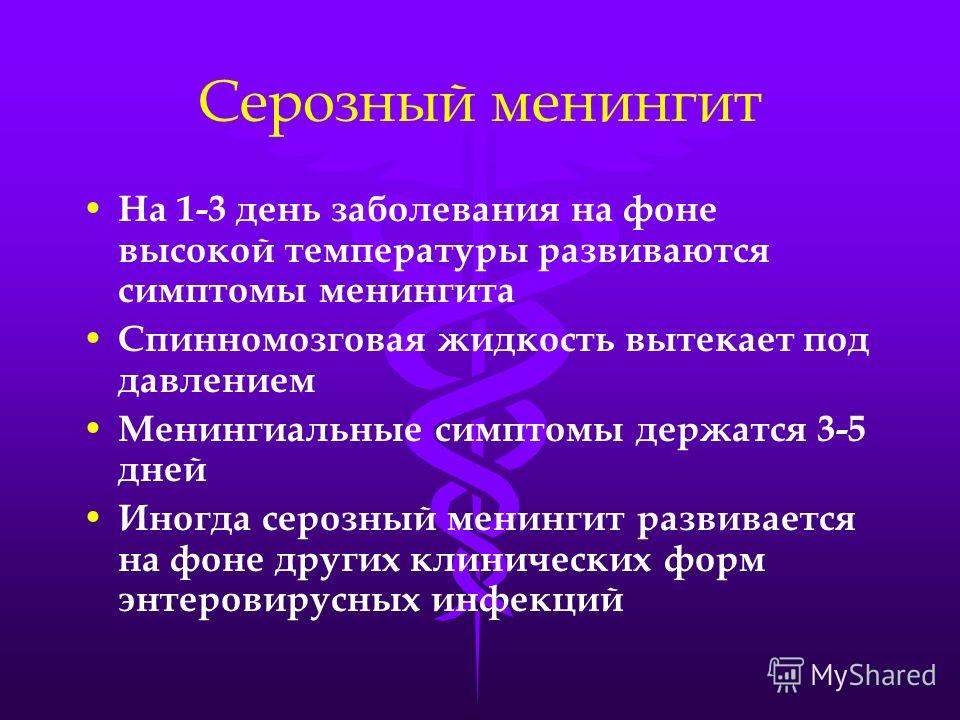 Менингит серозный сыпь Менингит серозный сыпь