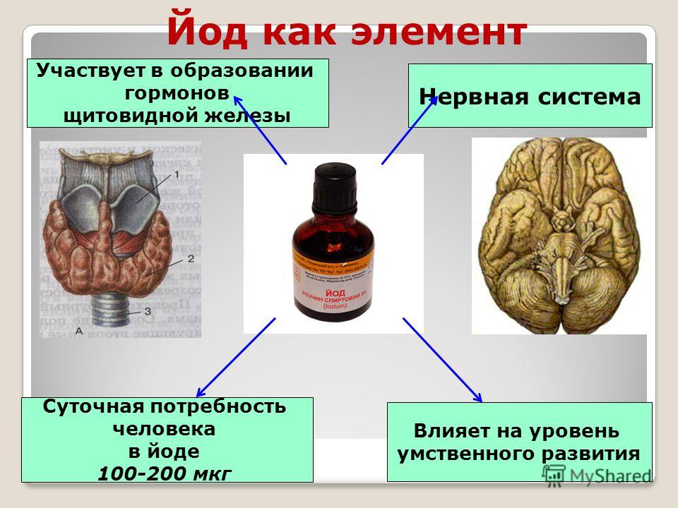 Йод как проверить недостаток йода в организме Йод как проверить недостаток йода в организме