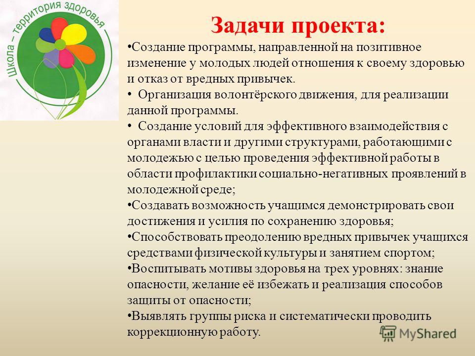 Проект волонтерской деятельности в школе