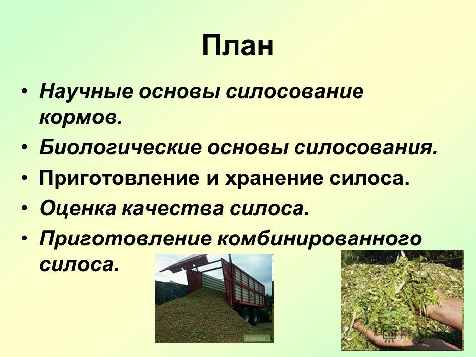 Реферат Биологические Основы Силосования Кормов Реферат Биологические Основы Силосования Кормов