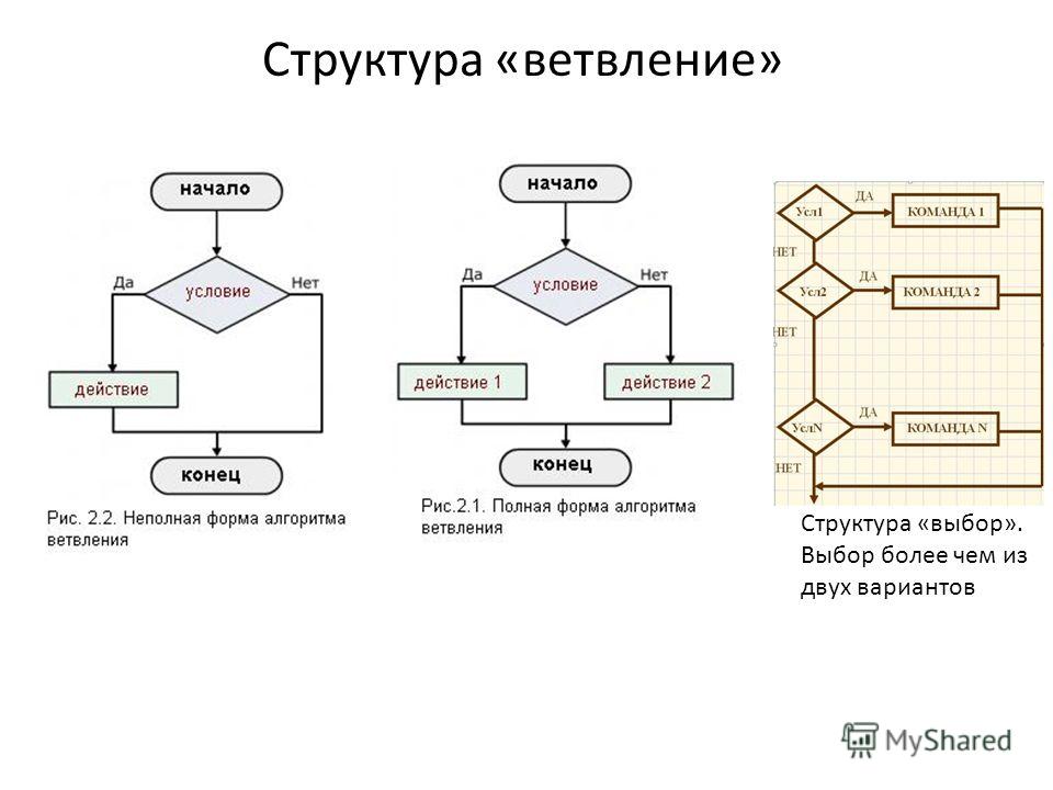 Структура «ветвление» Структура «выбор». Выбор более чем из двух вариантов