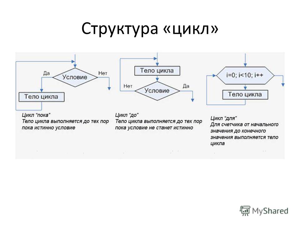 Структура «цикл»