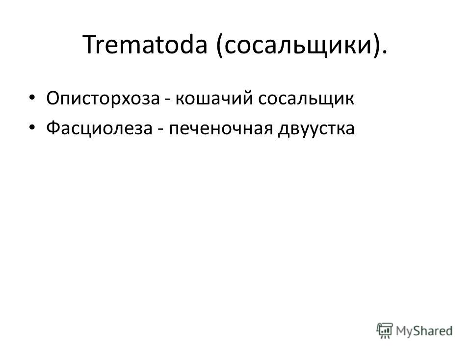 Скачать Презентацию На Тему Гельминтозы