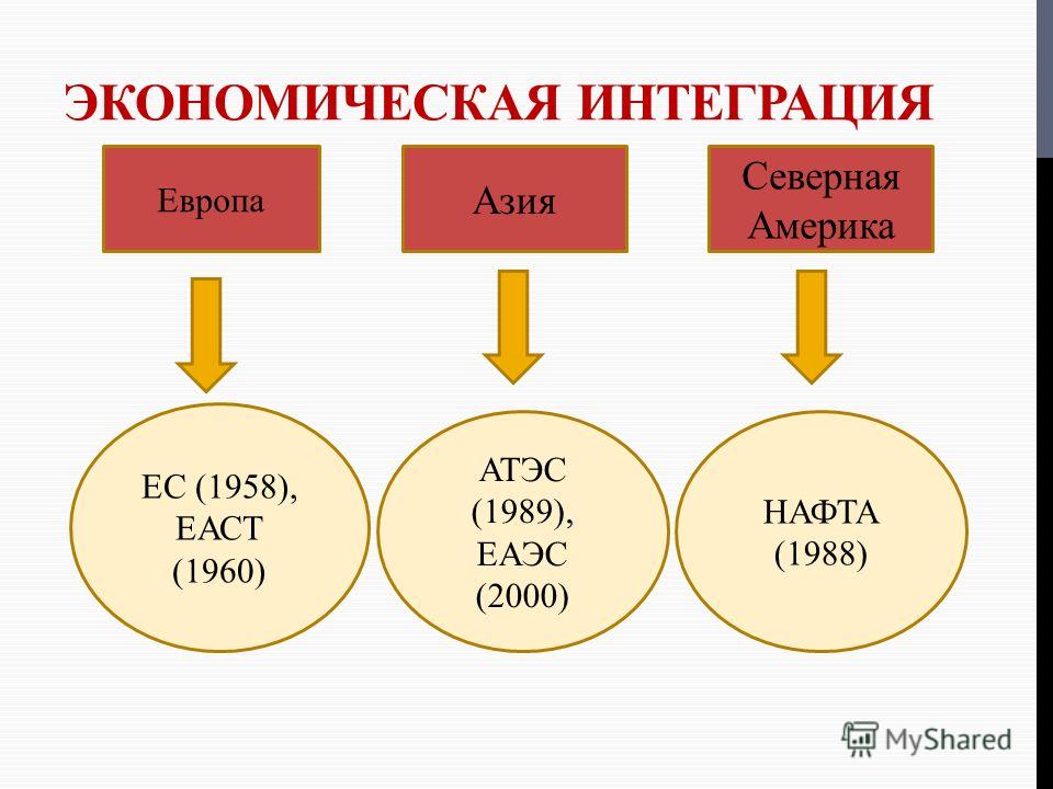 Привести примеры к типам экономической интеграции