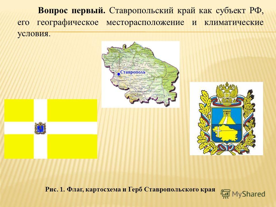 Географическое расположение ставропольского края Дипломная работа: География внешнеэкономической деятельности Ставропольского кра