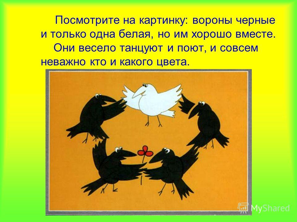 Что такое чача какого цвета Что такое чача какого цвета