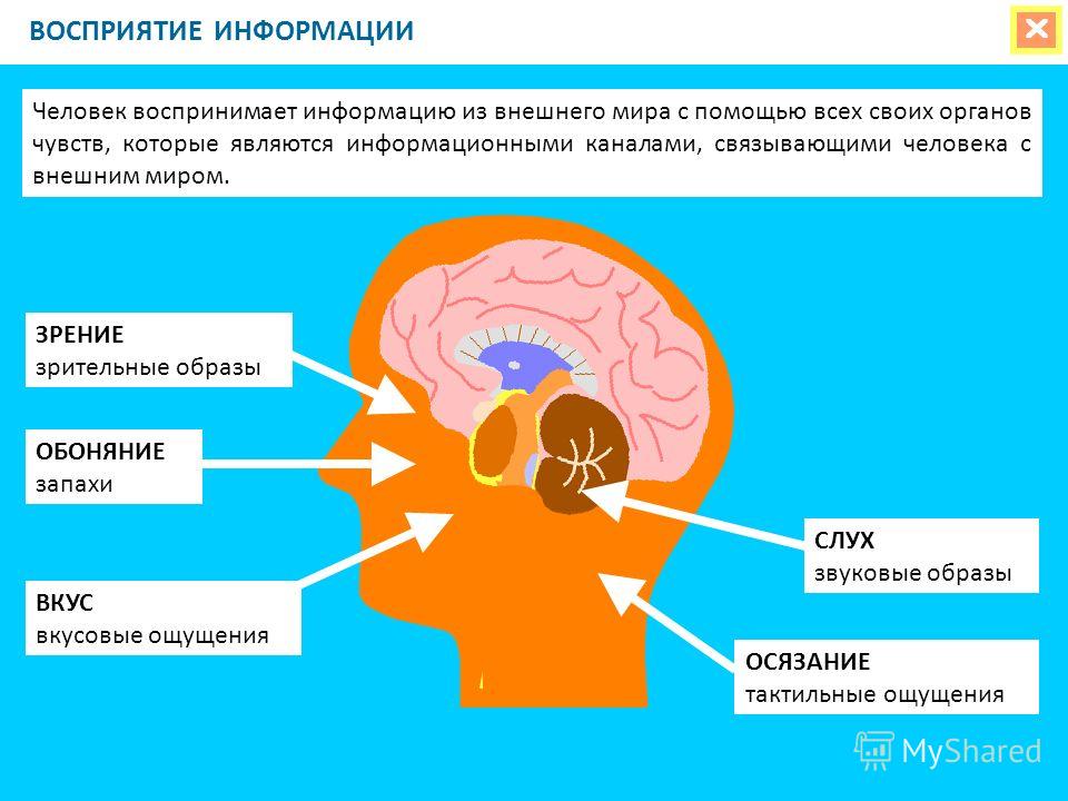 Здоровое питание Делаем эполеты (погоны) Мастер-класс своими руками