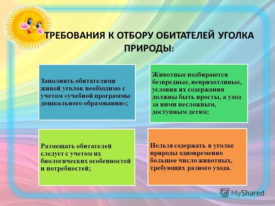 Книгу учебная программа дошкольного образования