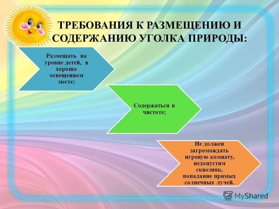 Уголок природы для дошкольников картинки Уголок природы для дошкольников картинки